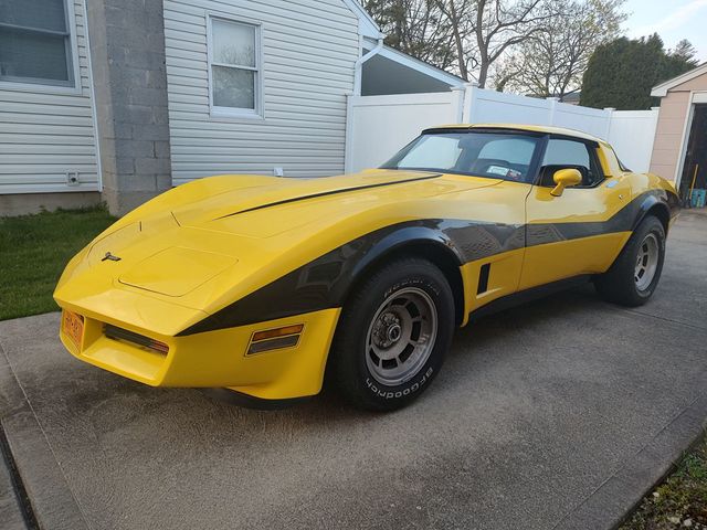 1981 Chevrolet Corvette 